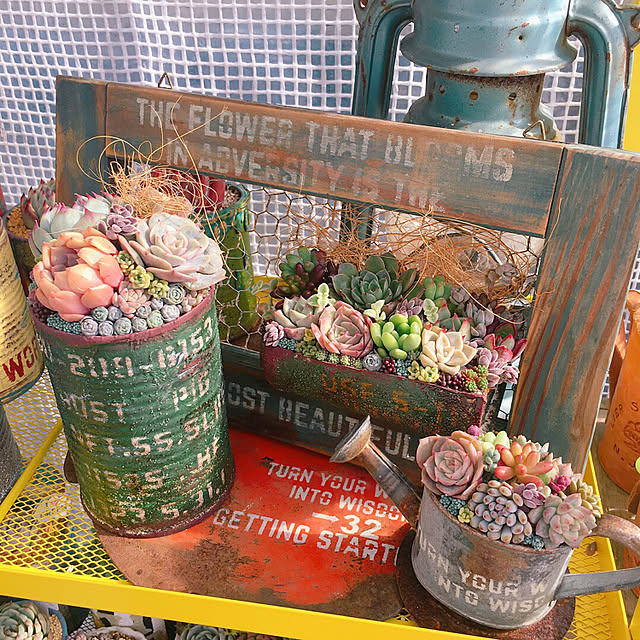 bon-bon-hippieさんの実例写真