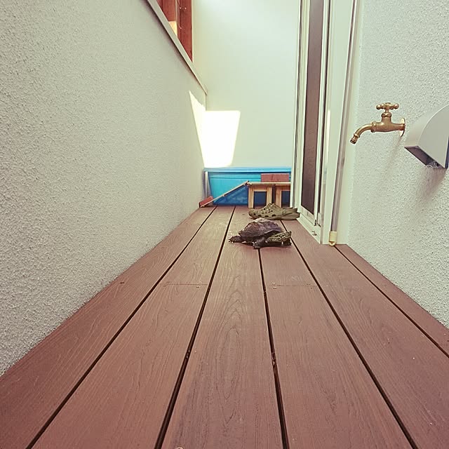 bump11222000さんの実例写真