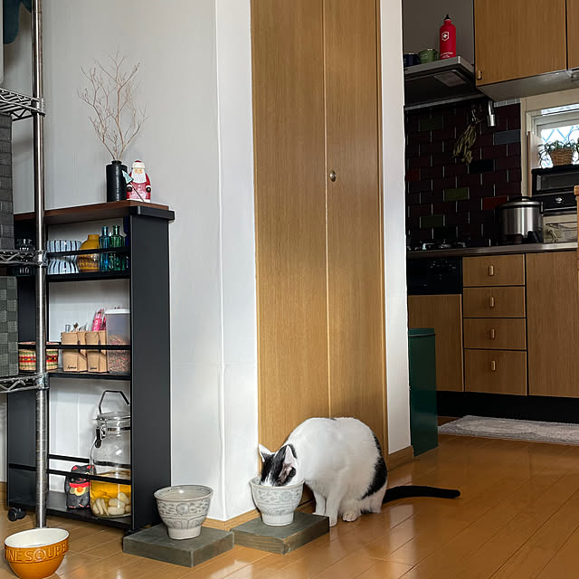 nobikoさんの部屋