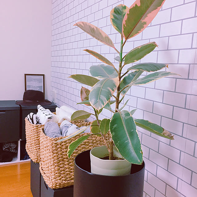 TAOさんの実例写真