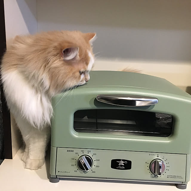 reomewさんの実例写真