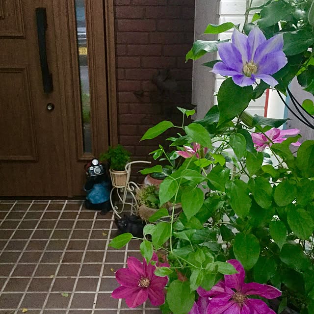 butachanさんの実例写真