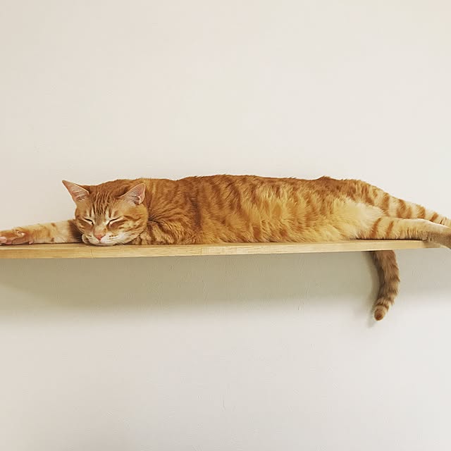su-chanさんの実例写真