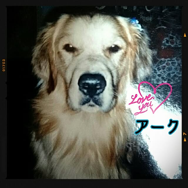 OBTERNIR88filerさんの実例写真
