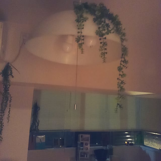 Kumikoさんの実例写真