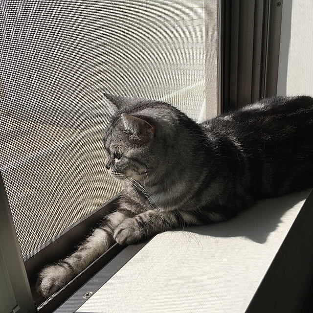 mikomaruさんの実例写真