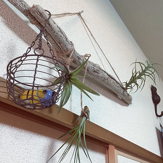jdannabcさんの実例写真