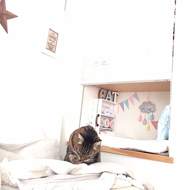 lovecatさんの実例写真