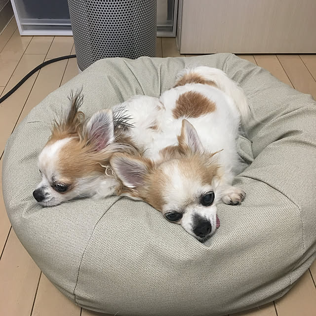 miiさんの実例写真