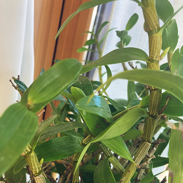 CoCo0617さんの部屋
