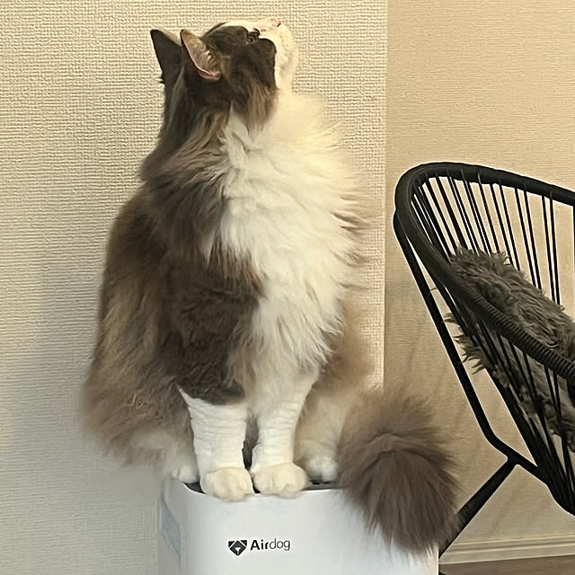 leoさんの実例写真