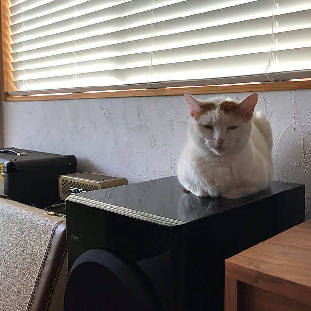 sakurasakuさんの実例写真