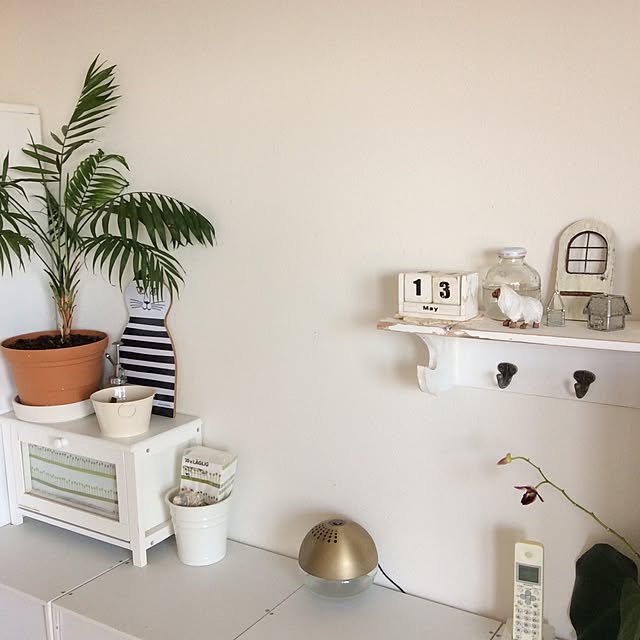 akika_naturalhomeさんの実例写真