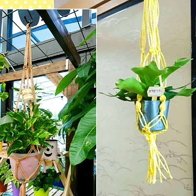 yuukyさんの実例写真