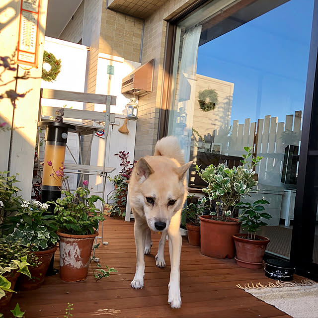 leonaさんの実例写真