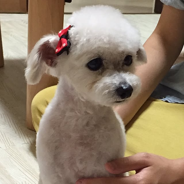 v.4ma-ma.0519さんの実例写真