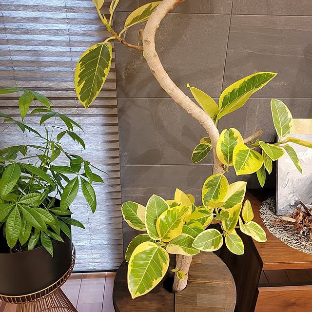 RSYさんの部屋