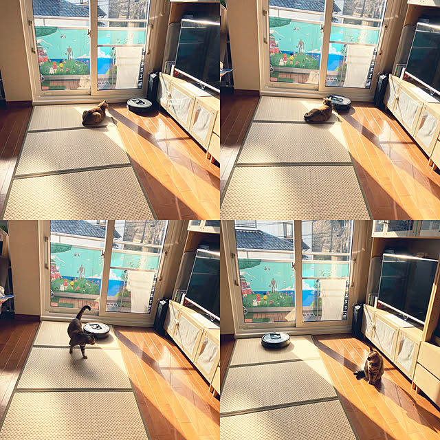 hansho.sさんの実例写真