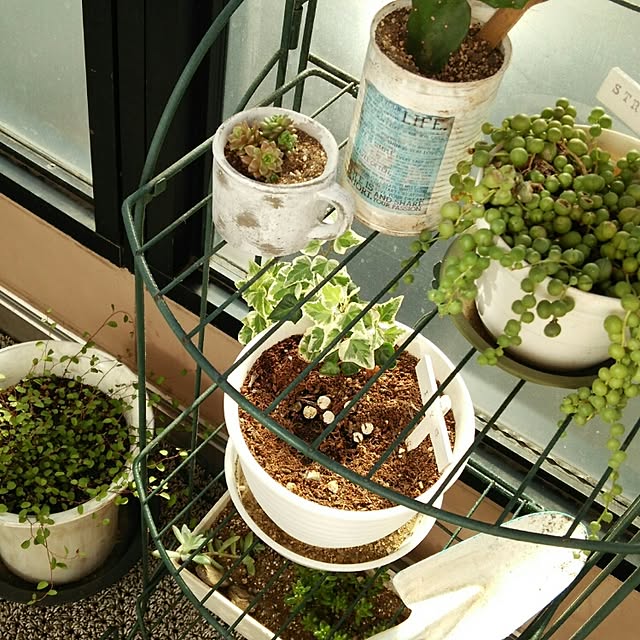 hiromiさんの実例写真