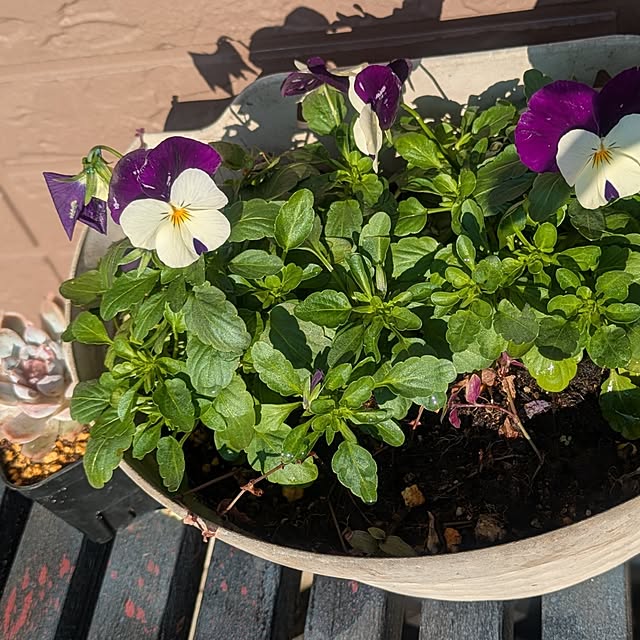 tototo..12.さんの部屋