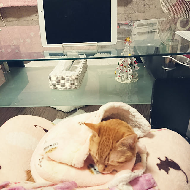asuminさんの実例写真