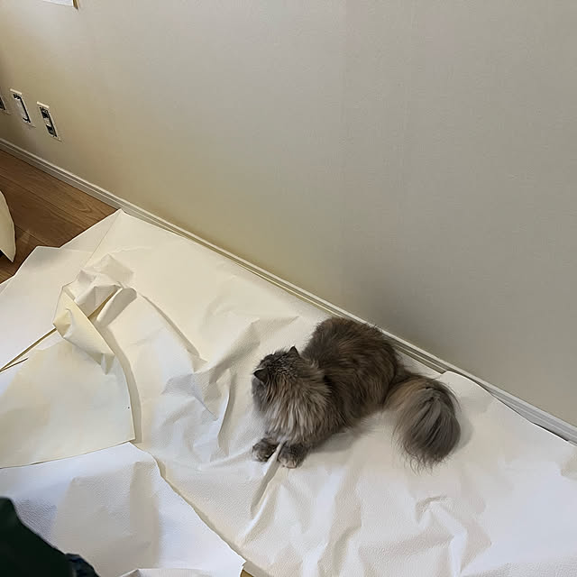 gfさんの部屋