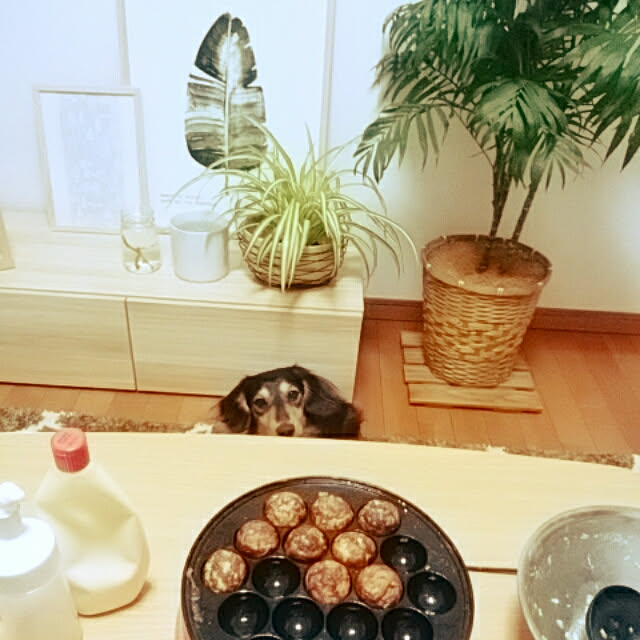 reonさんの実例写真