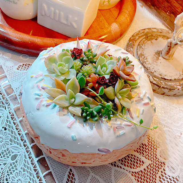 Hanakaさんの部屋