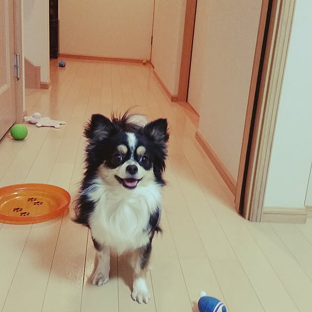 mmmさんの実例写真