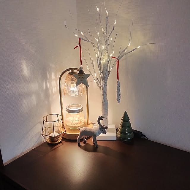 TUKIKOさんの実例写真