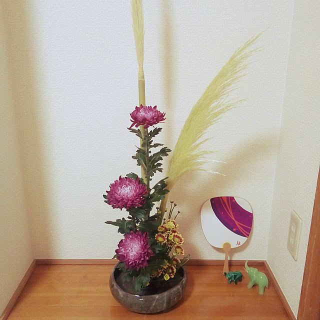 cinacoさんの実例写真