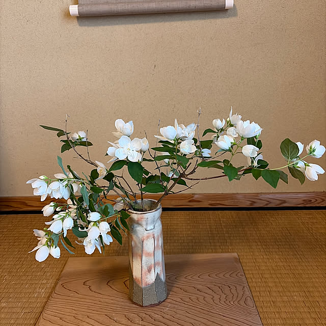 mozukuさんの実例写真