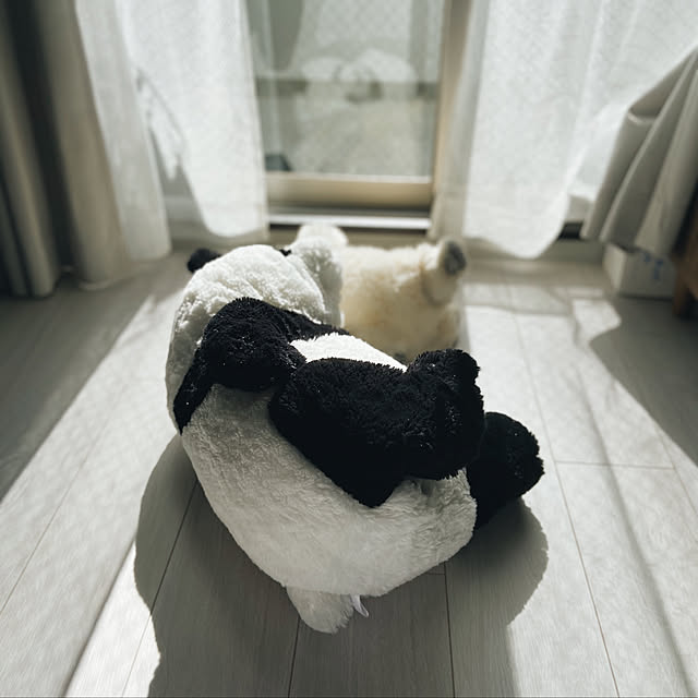 sinsinさんの実例写真