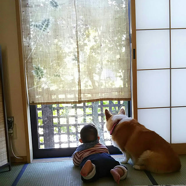 tenntennさんの実例写真