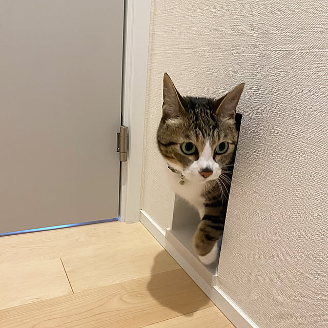 myaoさんの実例写真