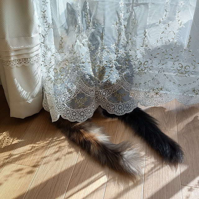 +CHIHARU+さんの実例写真
