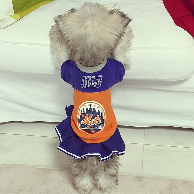 suzyさんの実例写真