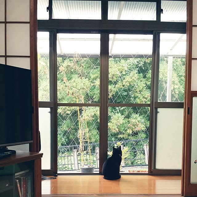 hana.1321jpさんの実例写真