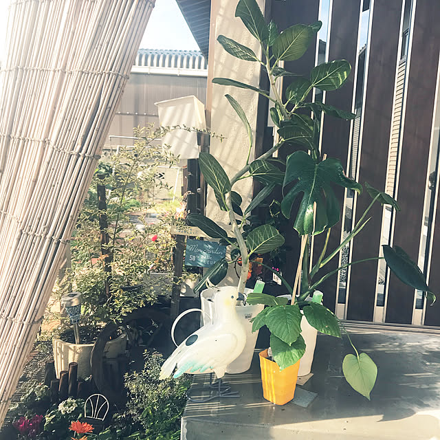 ringo_chiさんの実例写真