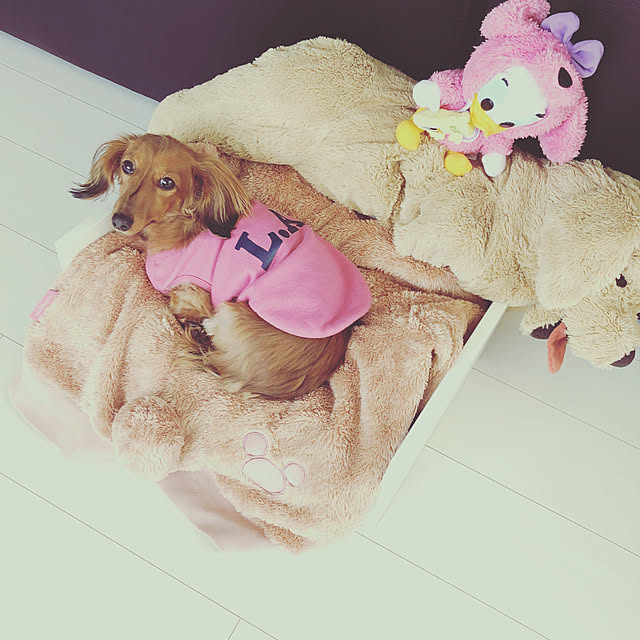 cocoさんの実例写真