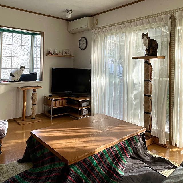 nobikoさんの部屋