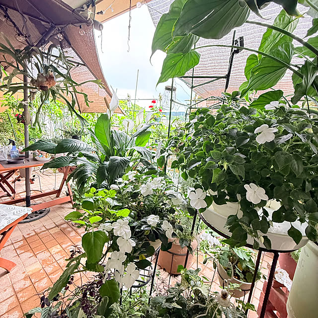 Aqettyさんの部屋
