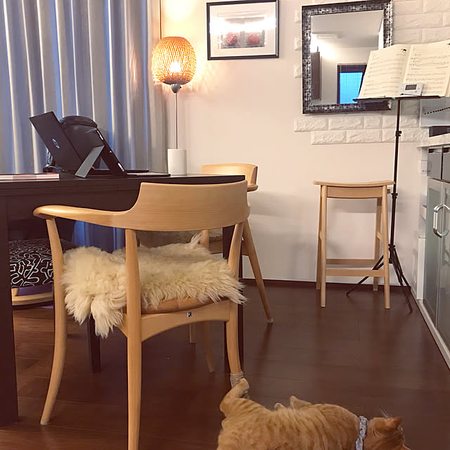 home_m_styleさんの実例写真