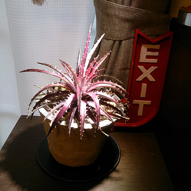 Hiroyukiさんの実例写真
