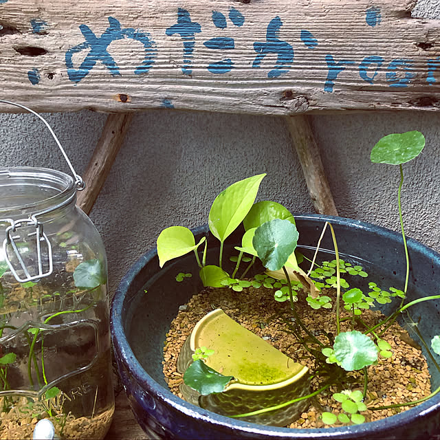 asさんの実例写真