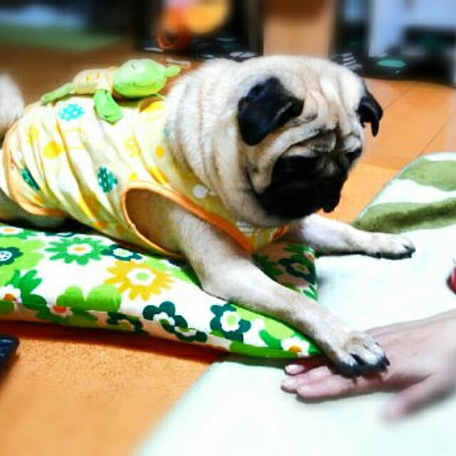 kotata96さんの実例写真