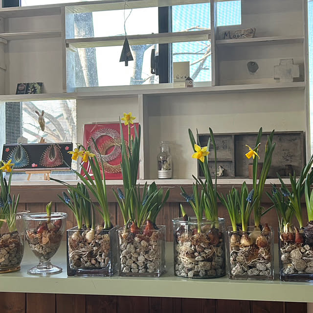 nichinichisoさんの実例写真