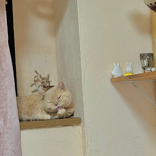 naokoさんの部屋