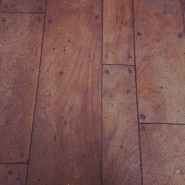 ladybird2008さんの実例写真