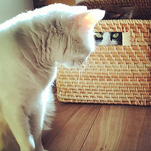 zappa13さんの実例写真
